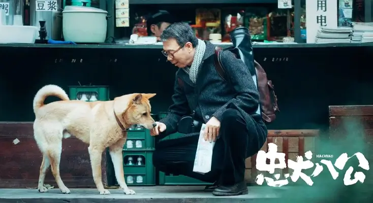 豆瓣由于版权保护示例